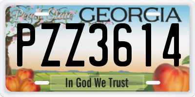GA license plate PZZ3614