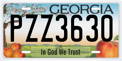 GA license plate PZZ3630
