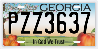 GA license plate PZZ3637