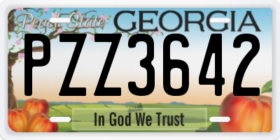GA license plate PZZ3642