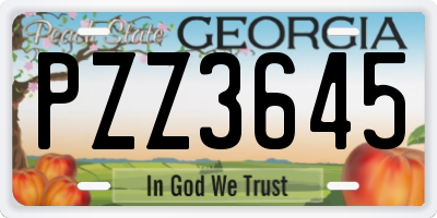 GA license plate PZZ3645