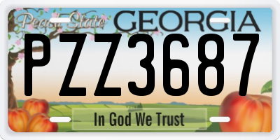 GA license plate PZZ3687