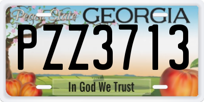 GA license plate PZZ3713