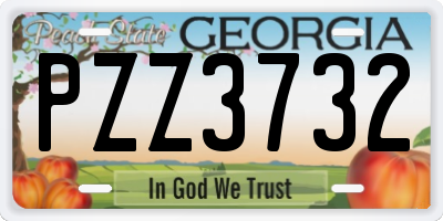 GA license plate PZZ3732