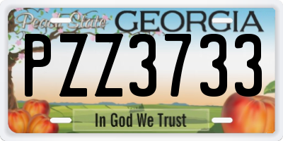 GA license plate PZZ3733