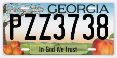 GA license plate PZZ3738