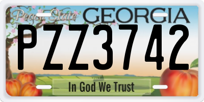 GA license plate PZZ3742