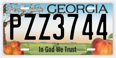 GA license plate PZZ3744