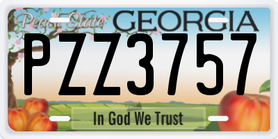 GA license plate PZZ3757