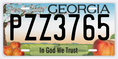 GA license plate PZZ3765