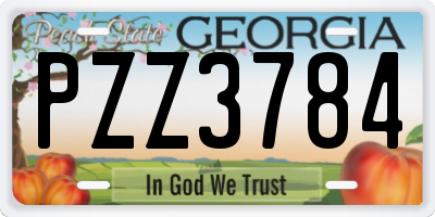 GA license plate PZZ3784