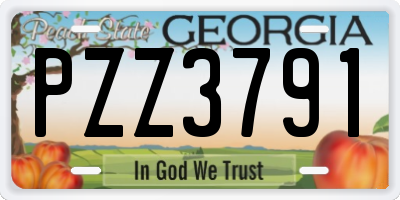 GA license plate PZZ3791