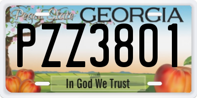 GA license plate PZZ3801