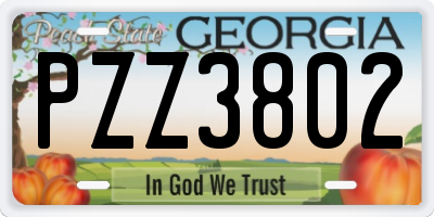 GA license plate PZZ3802