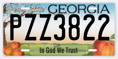 GA license plate PZZ3822