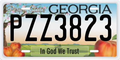 GA license plate PZZ3823