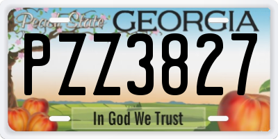 GA license plate PZZ3827