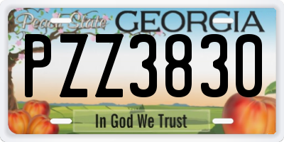GA license plate PZZ3830