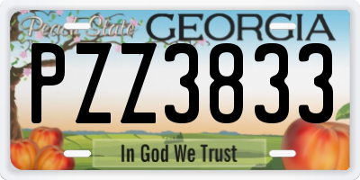 GA license plate PZZ3833