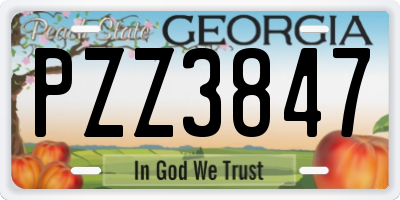 GA license plate PZZ3847