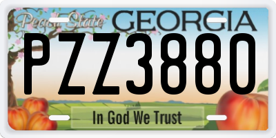 GA license plate PZZ3880