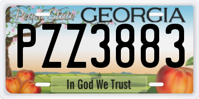 GA license plate PZZ3883
