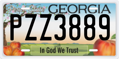 GA license plate PZZ3889