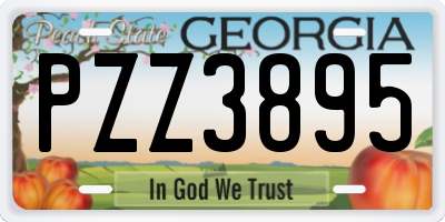 GA license plate PZZ3895