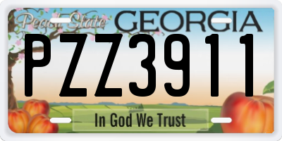 GA license plate PZZ3911