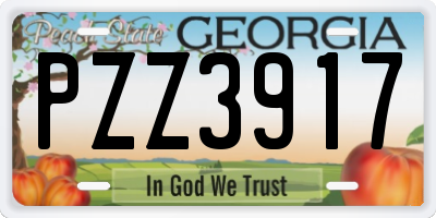 GA license plate PZZ3917