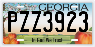 GA license plate PZZ3923