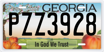GA license plate PZZ3928