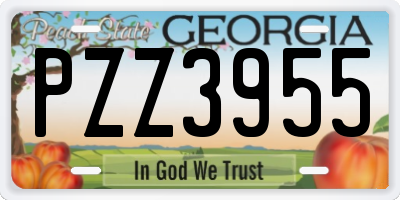 GA license plate PZZ3955