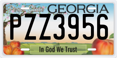 GA license plate PZZ3956