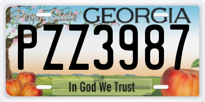 GA license plate PZZ3987