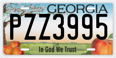 GA license plate PZZ3995