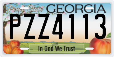 GA license plate PZZ4113