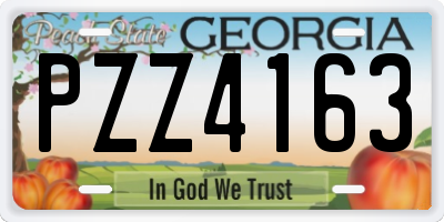 GA license plate PZZ4163