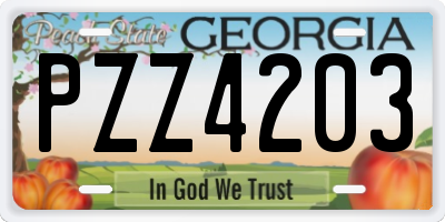 GA license plate PZZ4203