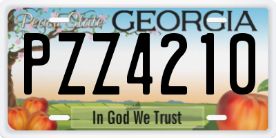 GA license plate PZZ4210