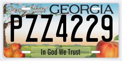 GA license plate PZZ4229