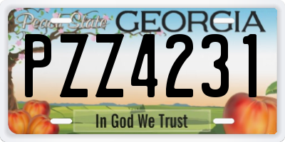 GA license plate PZZ4231