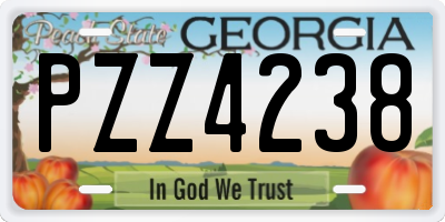 GA license plate PZZ4238