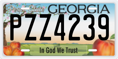 GA license plate PZZ4239