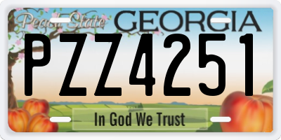GA license plate PZZ4251