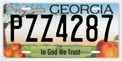 GA license plate PZZ4287