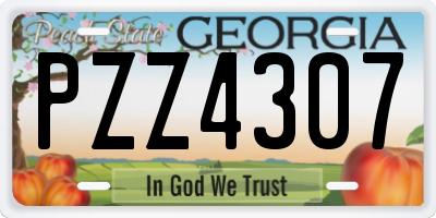 GA license plate PZZ4307