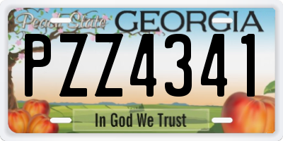 GA license plate PZZ4341