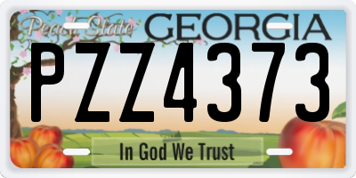 GA license plate PZZ4373