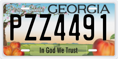 GA license plate PZZ4491